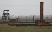 Droga Krzyżowa w intencji trzeźwości narodu w byłym KL Auschwitz-Birkenau - 2023