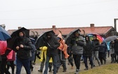 Droga Krzyżowa w intencji trzeźwości narodu w byłym KL Auschwitz-Birkenau - 2023