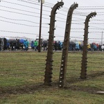 Droga Krzyżowa w intencji trzeźwości narodu w byłym KL Auschwitz-Birkenau - 2023