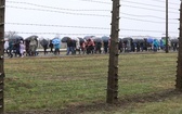Droga Krzyżowa w intencji trzeźwości narodu w byłym KL Auschwitz-Birkenau - 2023