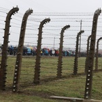 Droga Krzyżowa w intencji trzeźwości narodu w byłym KL Auschwitz-Birkenau - 2023