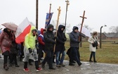 Droga Krzyżowa w intencji trzeźwości narodu w byłym KL Auschwitz-Birkenau - 2023
