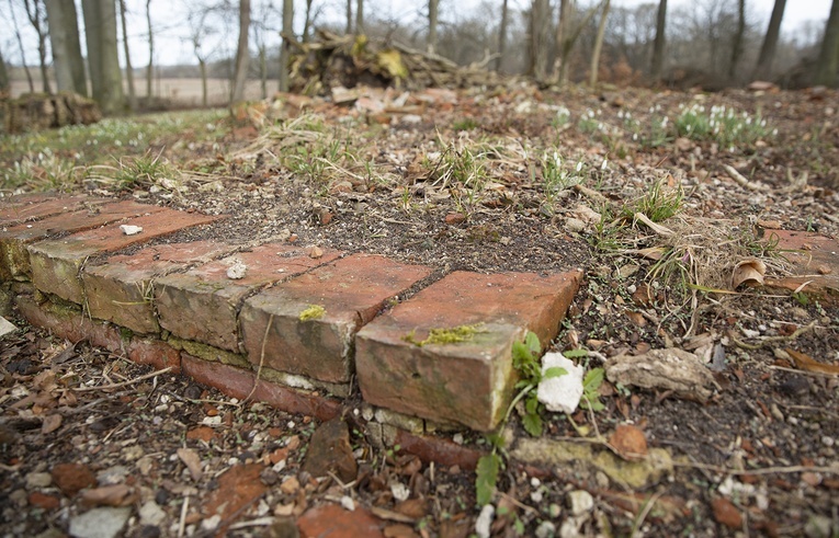 Porządkowanie cmentarza w Koziej Górze