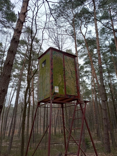 Matka Boska Leśna