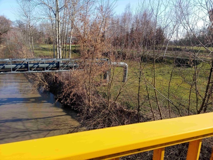 Moja codzienna droga do świętości