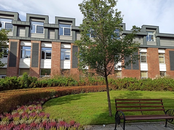 Małe wielkie objawienia