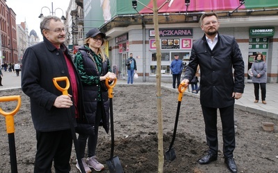 Katowice. Drzewa zamiast betonu przy ul. Stawowej