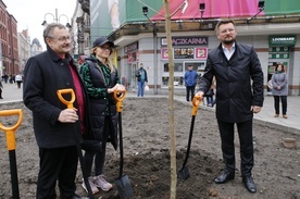 Katowice. Drzewa zamiast betonu przy ul. Stawowej