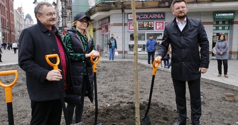 Katowice. Drzewa zamiast betonu przy ul. Stawowej