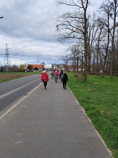 Caminowa pielgrzymka do Małujowic