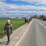 Caminowa pielgrzymka do Małujowic