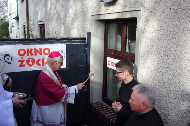 Bolesławieckie Okno Życia