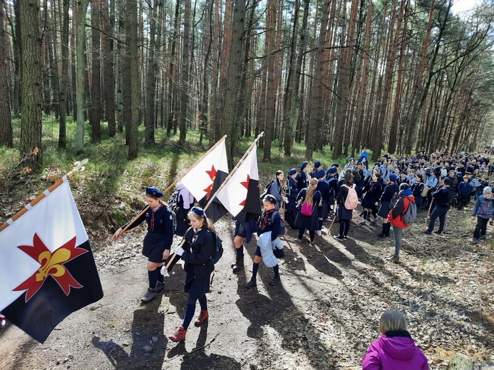 Skauci Europy w Zwonowicach i Rudach