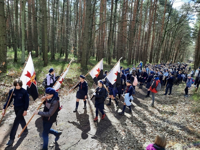 Skauci Europy w Zwonowicach i Rudach