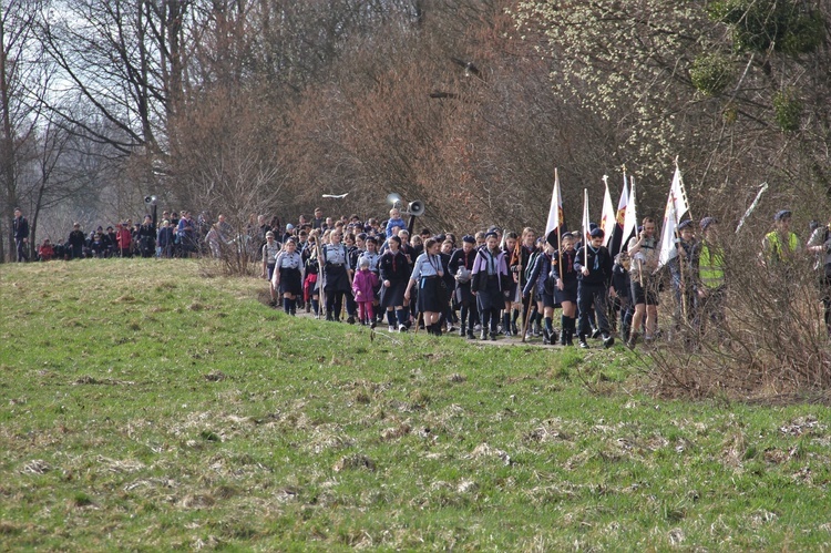 Skauci Europy w Zwonowicach i Rudach