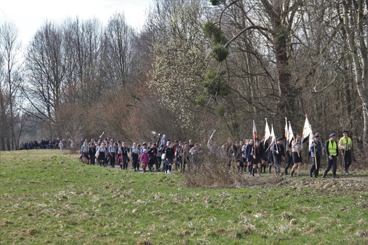 Skauci Europy w Zwonowicach i Rudach