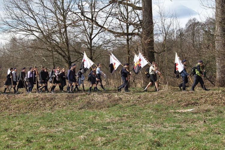 Skauci Europy w Zwonowicach i Rudach