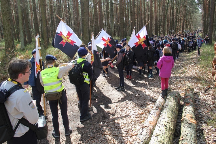 Skauci Europy w Zwonowicach i Rudach