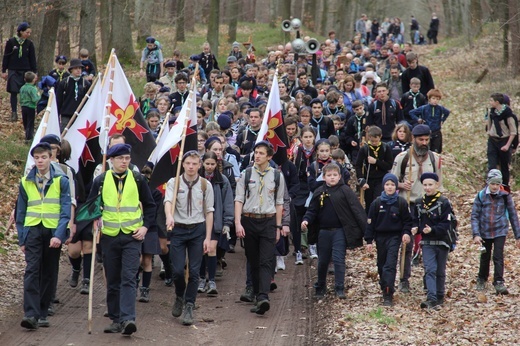 Skauci Europy w Zwonowicach i Rudach