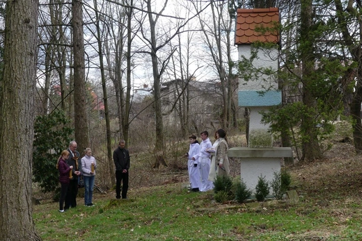 III Ekumeniczna Droga Krzyżowa w Bielsku-Białej 2023