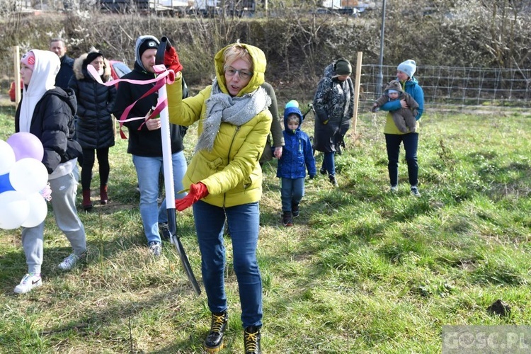 Zielona Góra. Budowa domu Fundacji Centrum Rodziny rozpoczęta