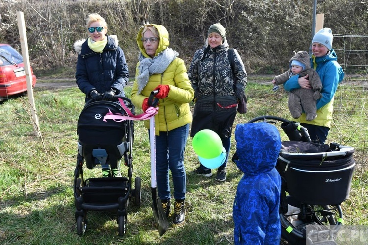 Zielona Góra. Budowa domu Fundacji Centrum Rodziny rozpoczęta