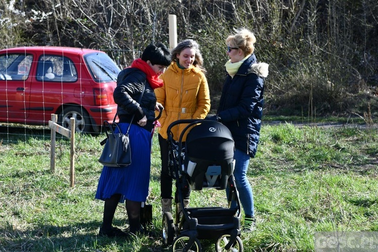 Zielona Góra. Budowa domu Fundacji Centrum Rodziny rozpoczęta