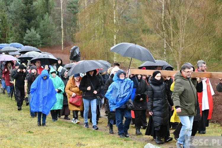 Nabożeństwo Kalwarii Rokitniańskiej