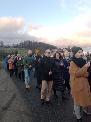Ścinawka Dolna. Uliczna Droga Krzyżowa w czasie misji