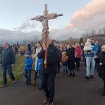 Ścinawka Dolna. Uliczna Droga Krzyżowa w czasie misji