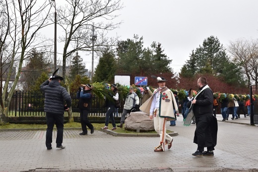 Jak górale w Gdańsku palmę postawili