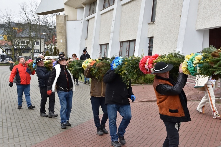 Jak górale w Gdańsku palmę postawili