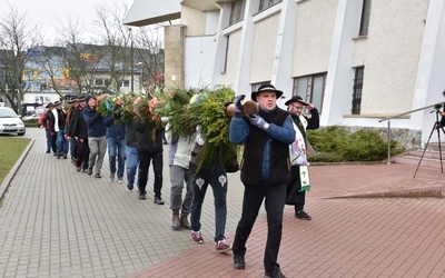 Góralska palma z Gdańska znowu urosła