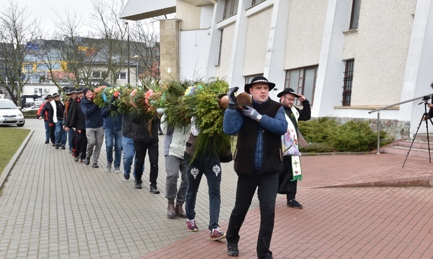 Góralska palma z Gdańska znowu urosła