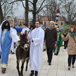 Stalowa Wola. Wejście Jezusa do Jerozolimy