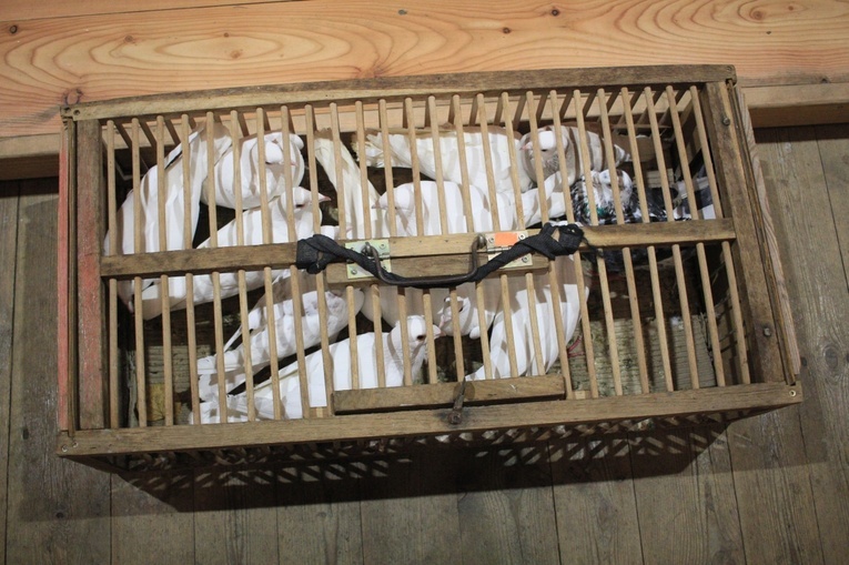 Niedziela Palmowa w Kluczu. Inauguracja sezonu lotowego gołębi