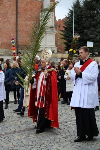 Sandomierska Niedziela Palmowa