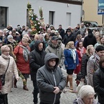 Strzegom. Palmowa procesja przeszła przez miasto 