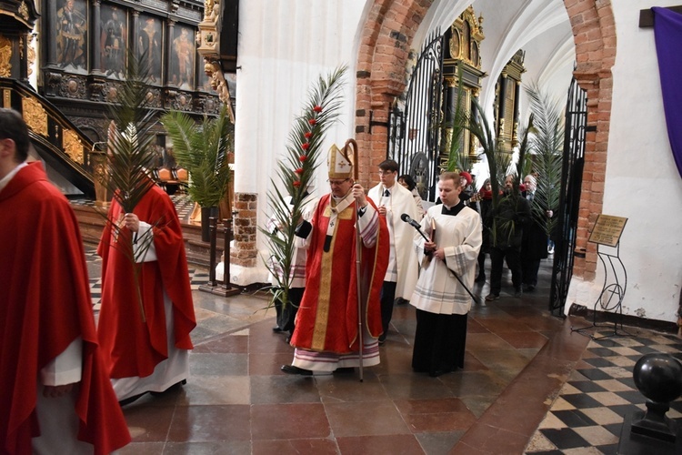 Niedziela Palmowa w archikatedrze oliwskiej 2023