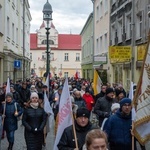 Biała Droga Krzyżowa w Żarach