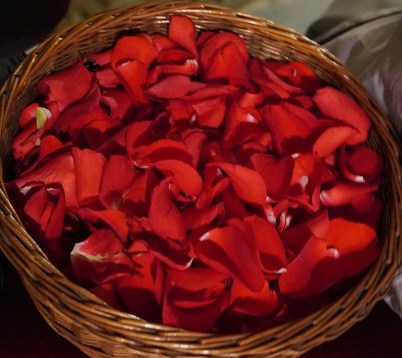 Godzina z Jezusem. Krople krwawego potu jak płatki róż