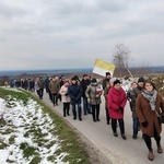 Jadowniki. Droga Krzyżowa na Bocheniec