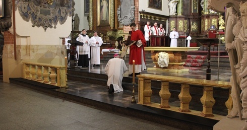 Oto drzewo życia...