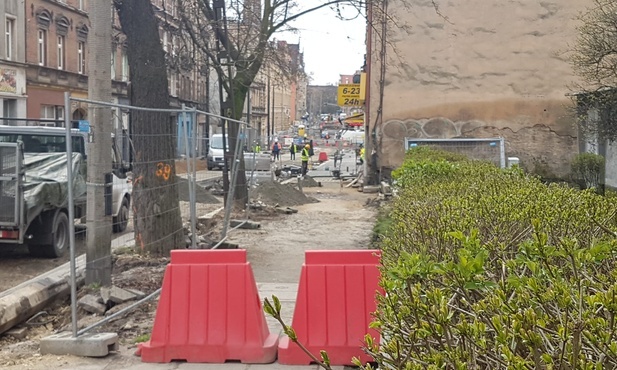 Bytom. Część mieszkańców protestuje w sprawie wycinki starych drzew