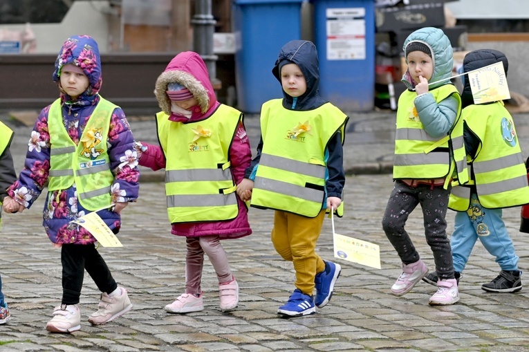 Żółty marsz żonkili z Pola Nadziei przeszedł przez Świdnicę