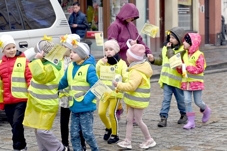 Żółty marsz żonkili z Pola Nadziei przeszedł przez Świdnicę