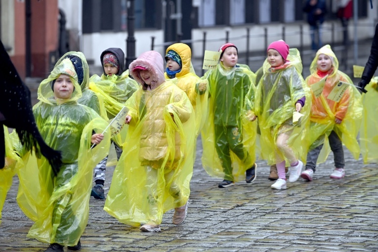 Żółty marsz żonkili z Pola Nadziei przeszedł przez Świdnicę