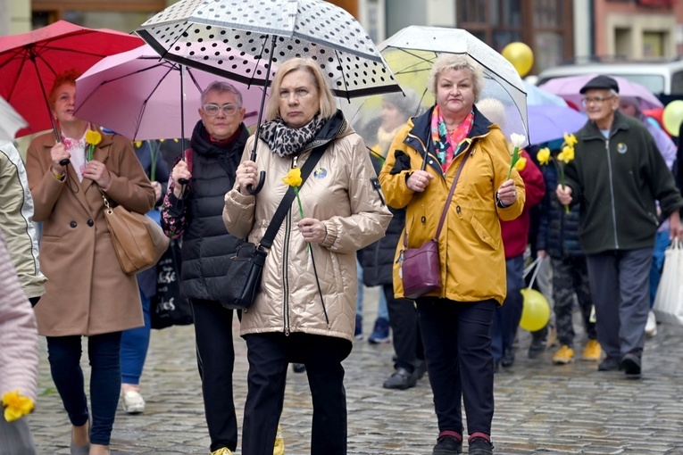 Żółty marsz żonkili z Pola Nadziei przeszedł przez Świdnicę