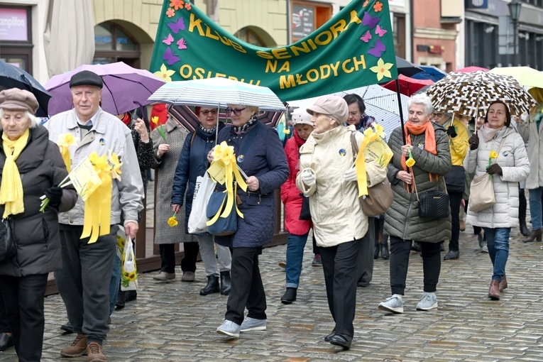 Żółty marsz żonkili z Pola Nadziei przeszedł przez Świdnicę