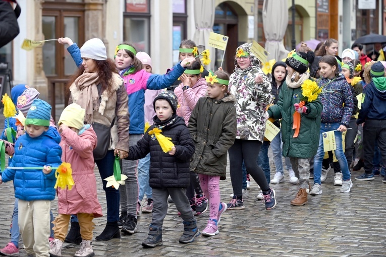 Żółty marsz żonkili z Pola Nadziei przeszedł przez Świdnicę